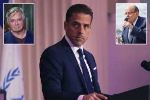 hunter biden should be charged by doj standards