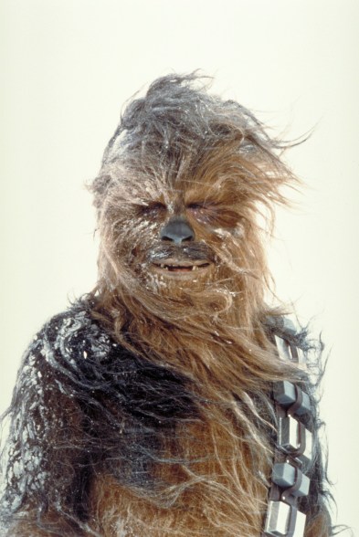 Peter Mayhew as Chewbacca