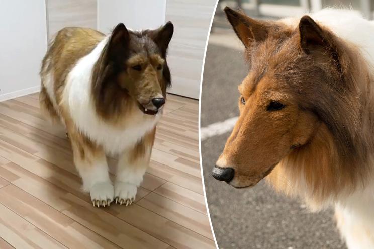 A Japanese man is going viral after spending more than $15,000 on a hyperrealistic costume so he could fulfill his lifelong dream — of becoming a dog