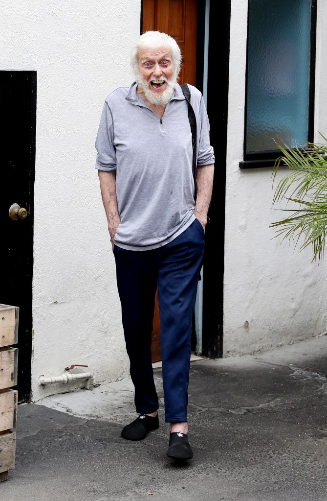 Van Dyke cut a casual figure for the outing, clad in a light grey sweater and navy pants.