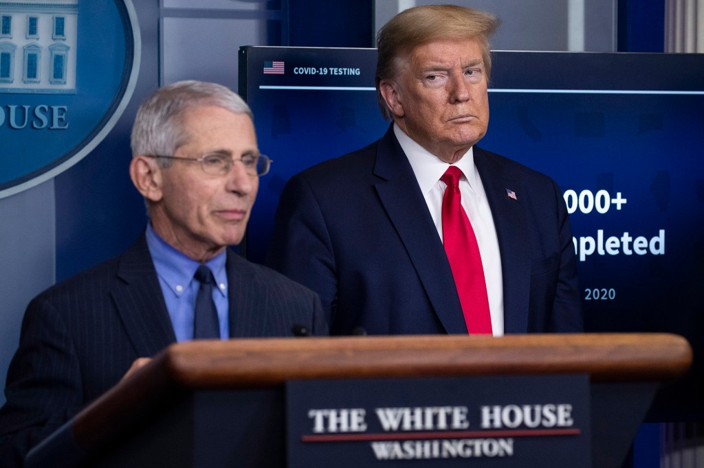 Dr. Anthony Fauci and former President Donald Trump beefed over COVID-19 during the beginning of the pandemic.