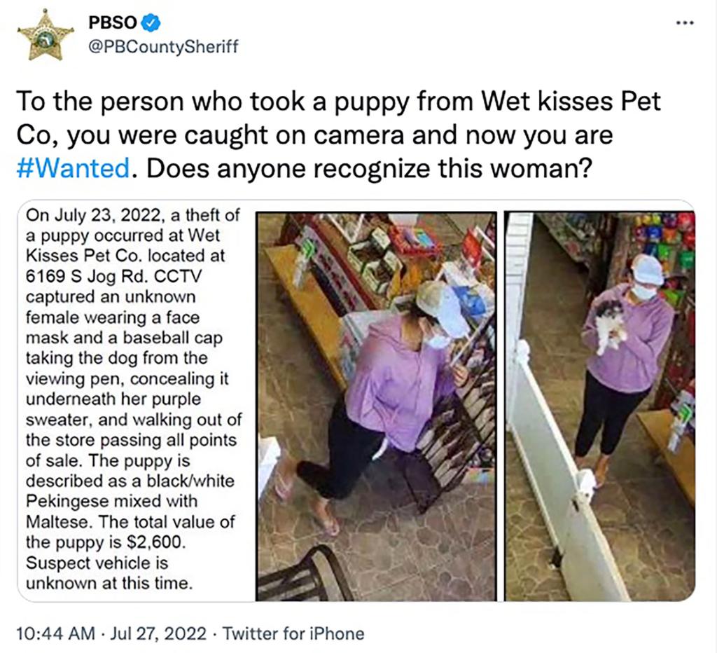 Florida woman steals dog