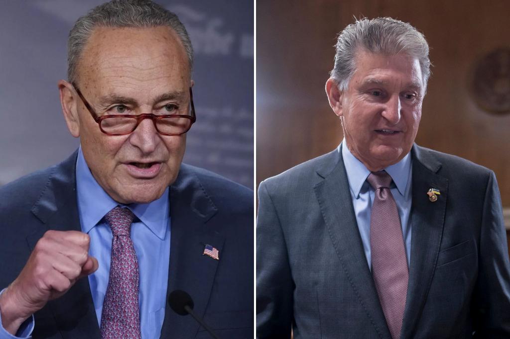 Manchin and Schumer