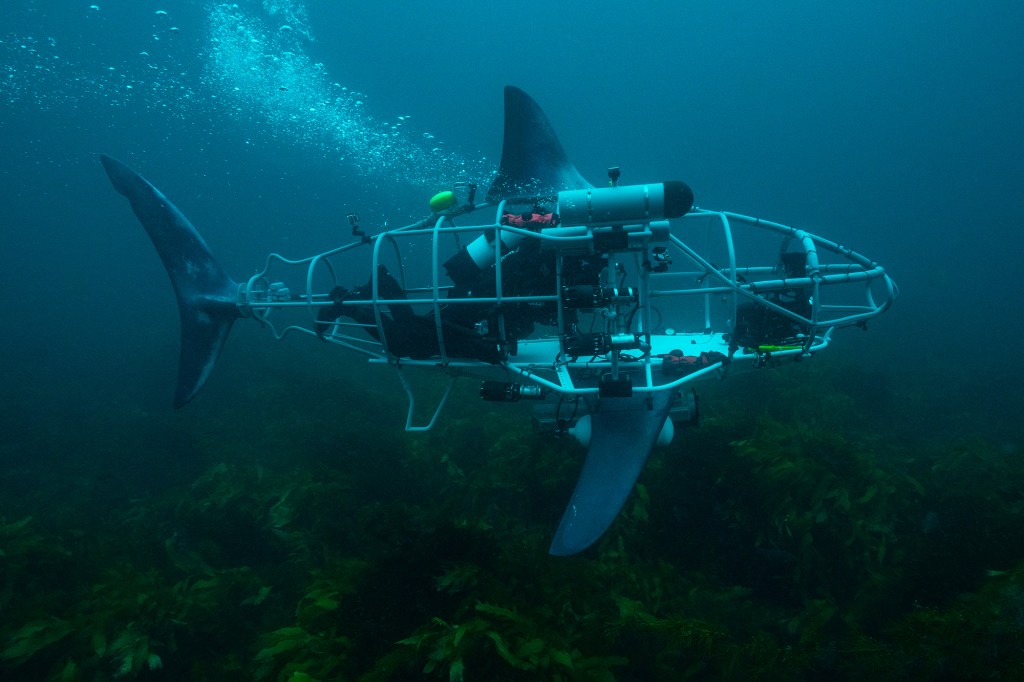 Photo of the "Mechashark."