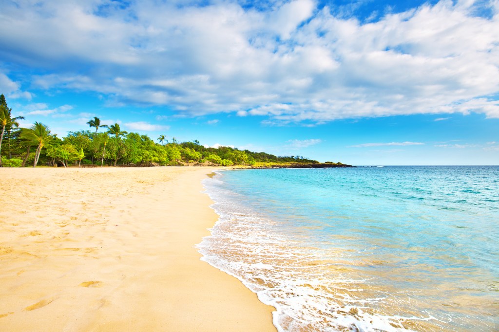 All of the shorelines in Hawaii are considered public lands.