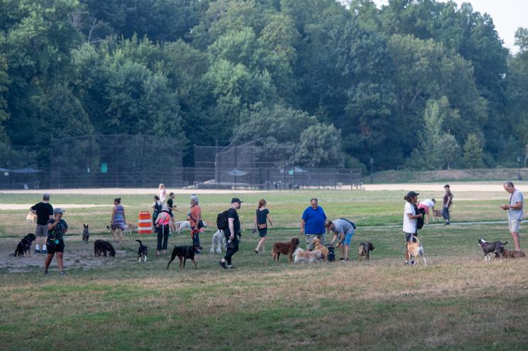 The group cites an increase in crimes and the death of a local dog.