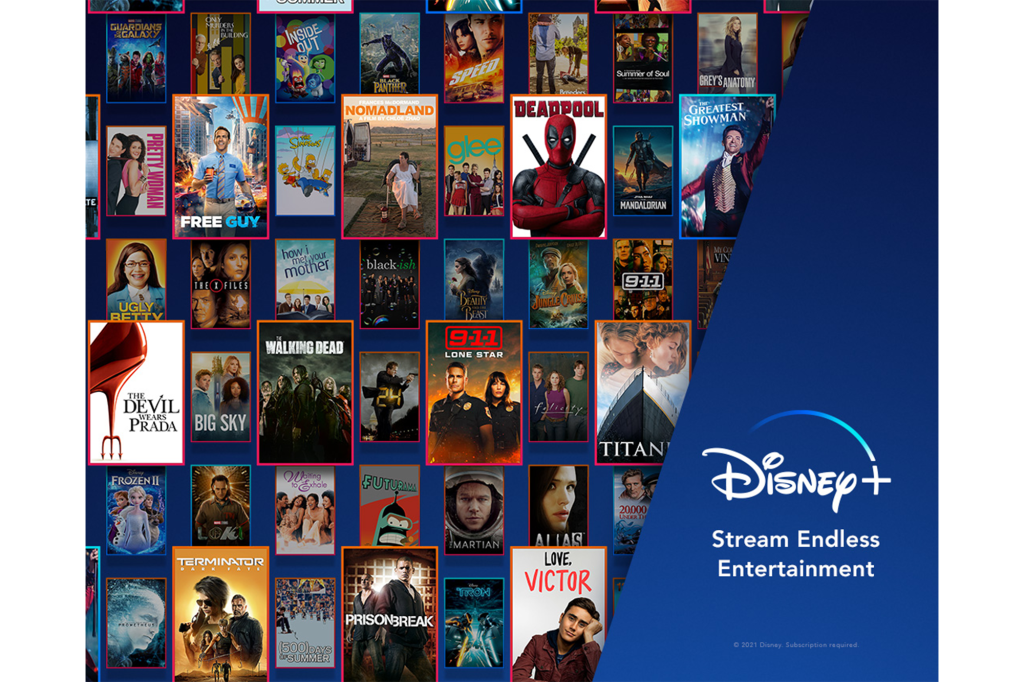 Disney+ Subscription