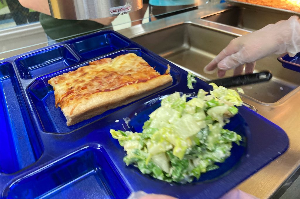 A student lunch of homemade pizza