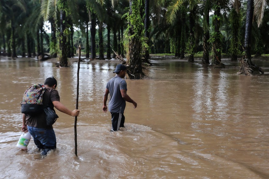 Men navigate through a flooded area in the former banana fields near El Progreso, Honduras, Hurricane Julia brought heavy rains.