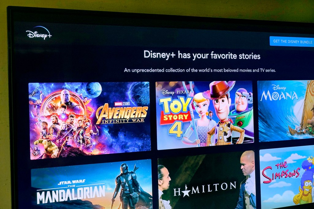 Disney+ log-in screen