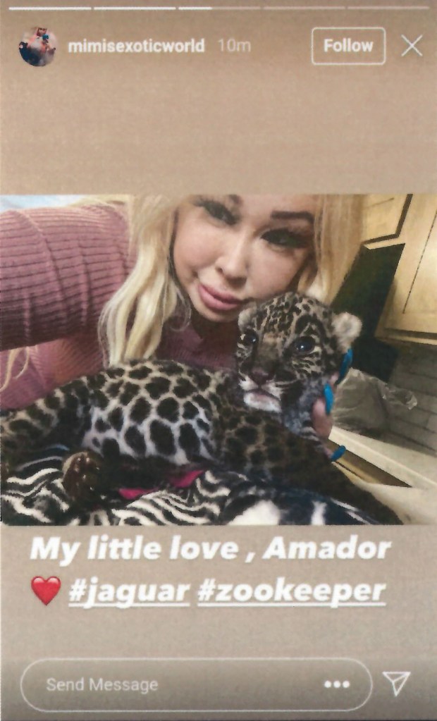 Trisha Denise Meyer and jaguar cub Amador