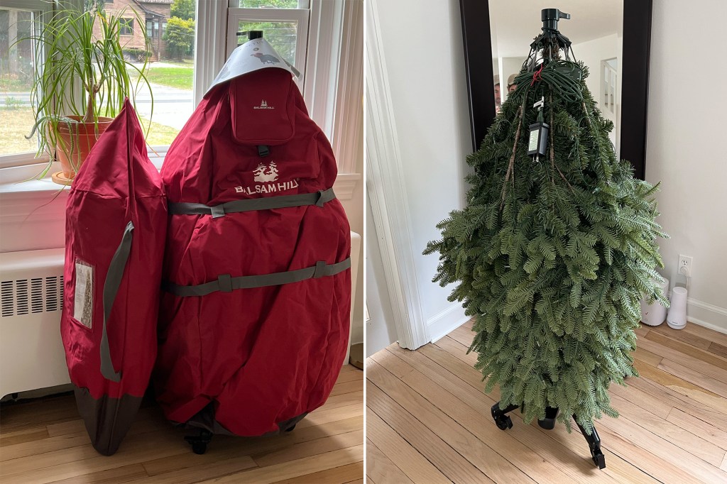 tree in red bag next to upside down tree