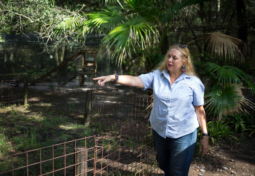 A picture of Carole Baskin on July 20, 2017.