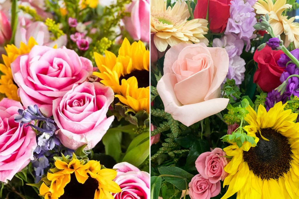 A side by side of flowers