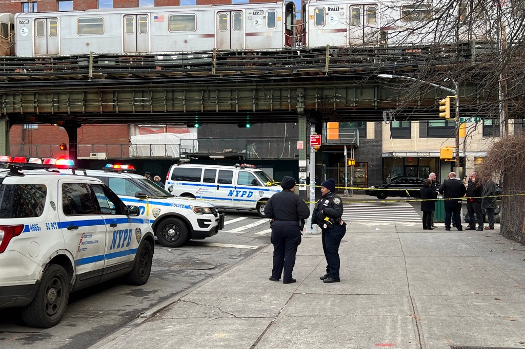 Police officers on a street in the Bronx, with NYPD cruisers parked near an elevated train track.