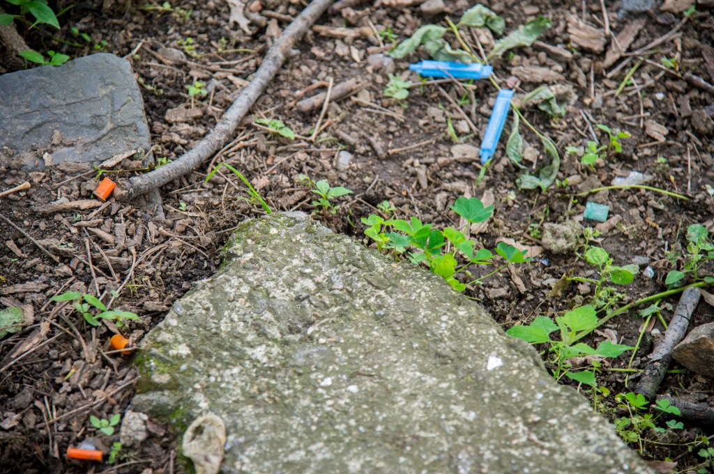 NYC parks are favorite dumping site of used needles by junkies.