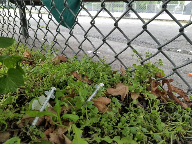 Despite cleanup efforts of the city, many unused needles remain uncollected.