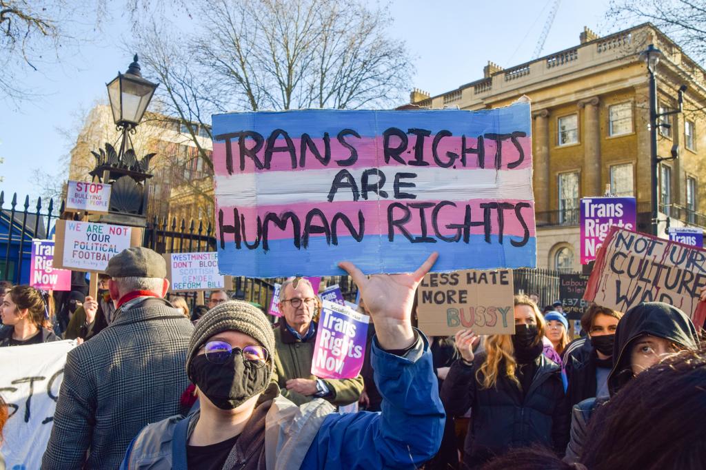 A protester holds a placard which states 'Trans rights are human rights' during the demonstration.