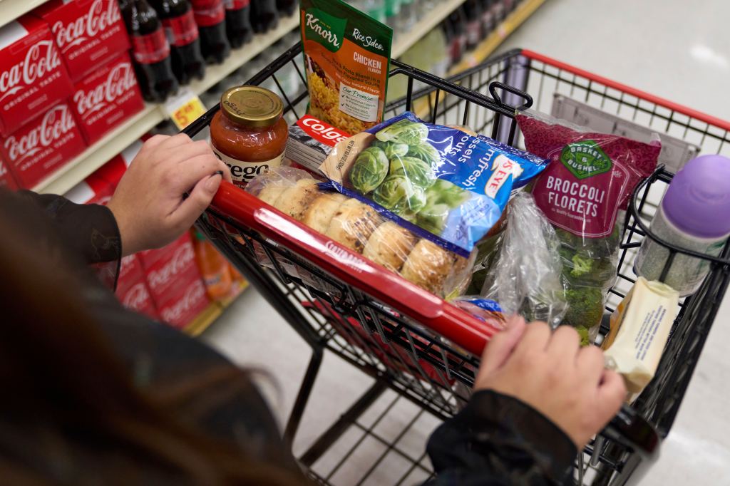 Person in a supermarket with a shopping cart.