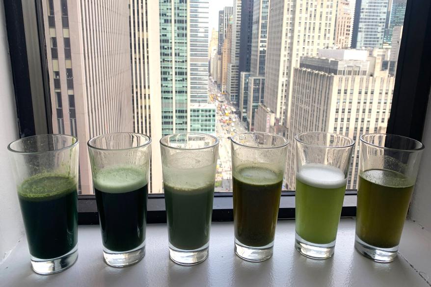 An array of green drinks