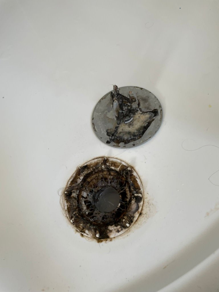 Dirty shower drain 