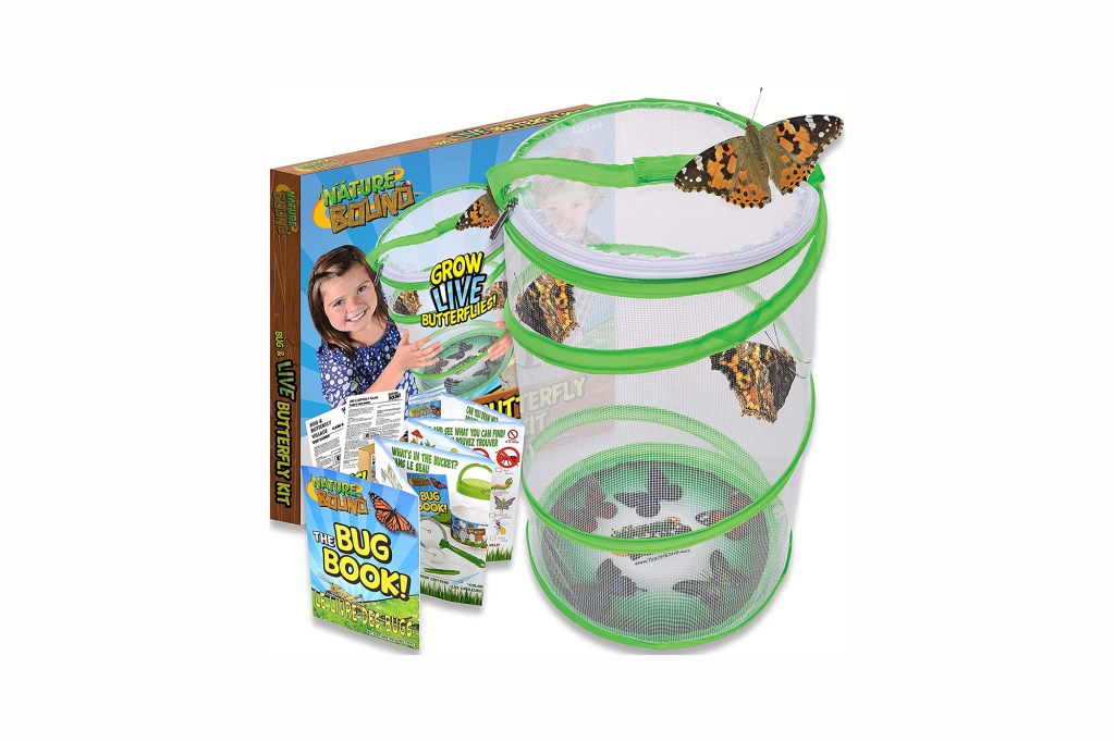 Nature Bound Butterfly Growing Kit