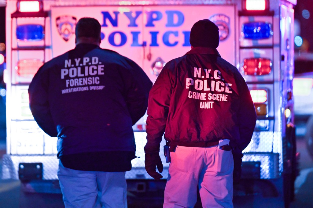 Two NYPD officers