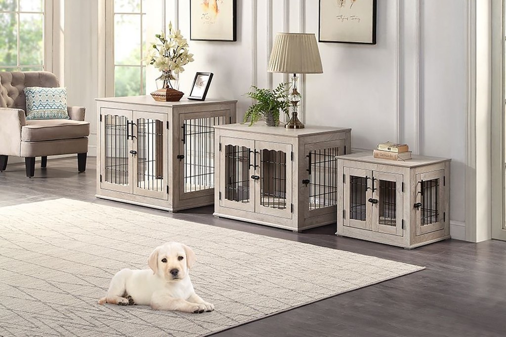 Three pet crates and a puppy