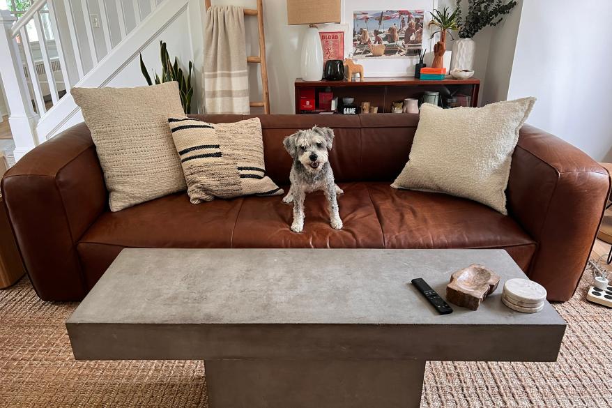 A brown leather sofa with throw pillows and a dog sitting on a cushion.