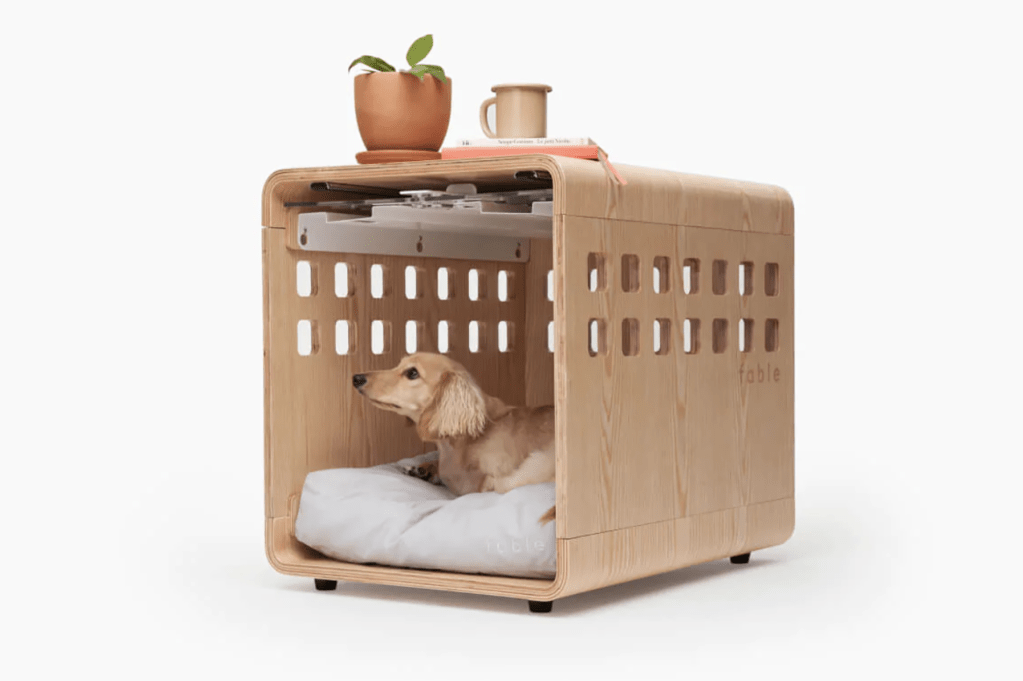 A wiener dog in a crate