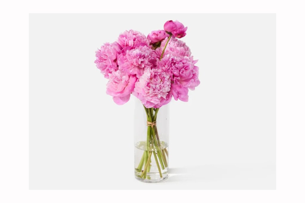 Urban Stems peonies 