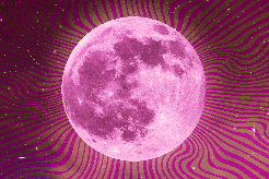 Pink moon gif