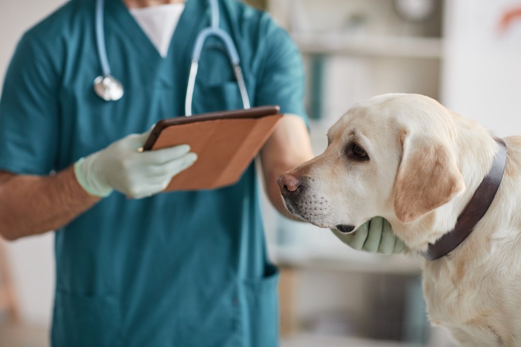 According to the American Veterinary Medical Association, it is common for white pet owners to not want black vets to treat their pets.