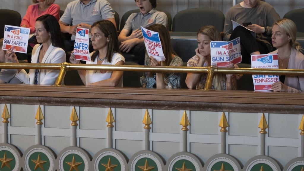 Members of Voices for a Safer Tennessee hold signs as they attend a Senate legislative session at the state Capitol, Thursday, April 20, 2023 in Nashville, Tenn. 