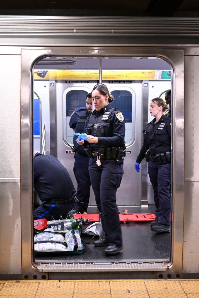 The EMS at Broadway–Lafayette Street/Bleecker Street station were unable to revive the man.