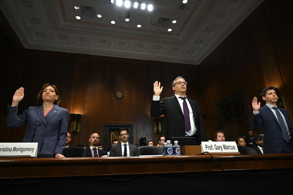 Christina Montgomery, Chief Privacy and Trust Officer at IBM; Gary Marcus, Professor Emeritus at New York University, and Altman at Tuesday's hearing.