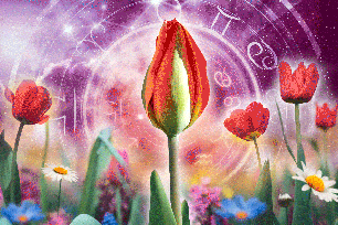 june-2023-horoscopes