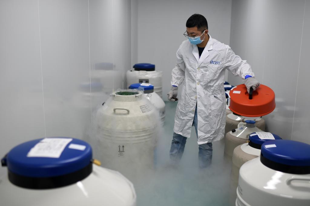 A researcher works in a lab at a pharmaceutical in Wuhan in central China's Hubei province Tuesday, Oct. 12, 2021. (