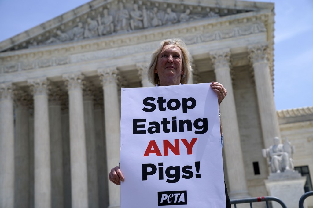 PETA President, Ingrid Newkirk, demonstrating outside of the Supreme Court. 