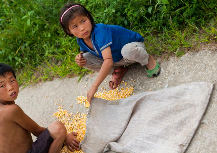 A child collecting corn on the road