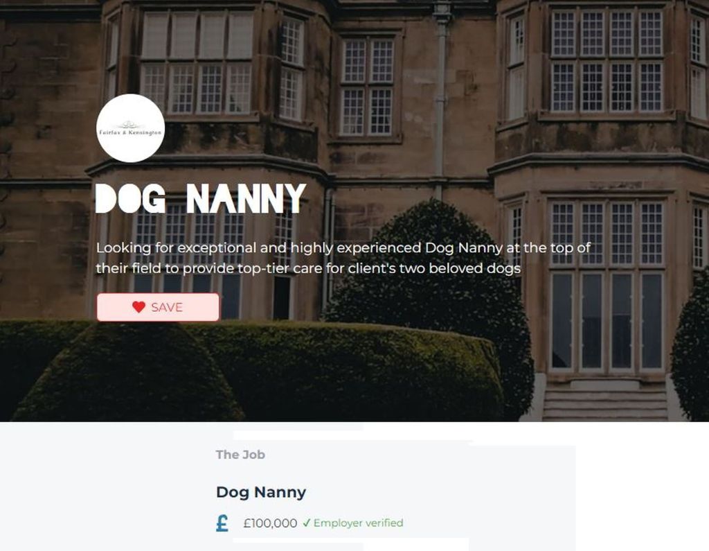 A US family based in the UK has gone viral after posting a job opening for a full-time dog nanny with a salary of $12,736 a year. 