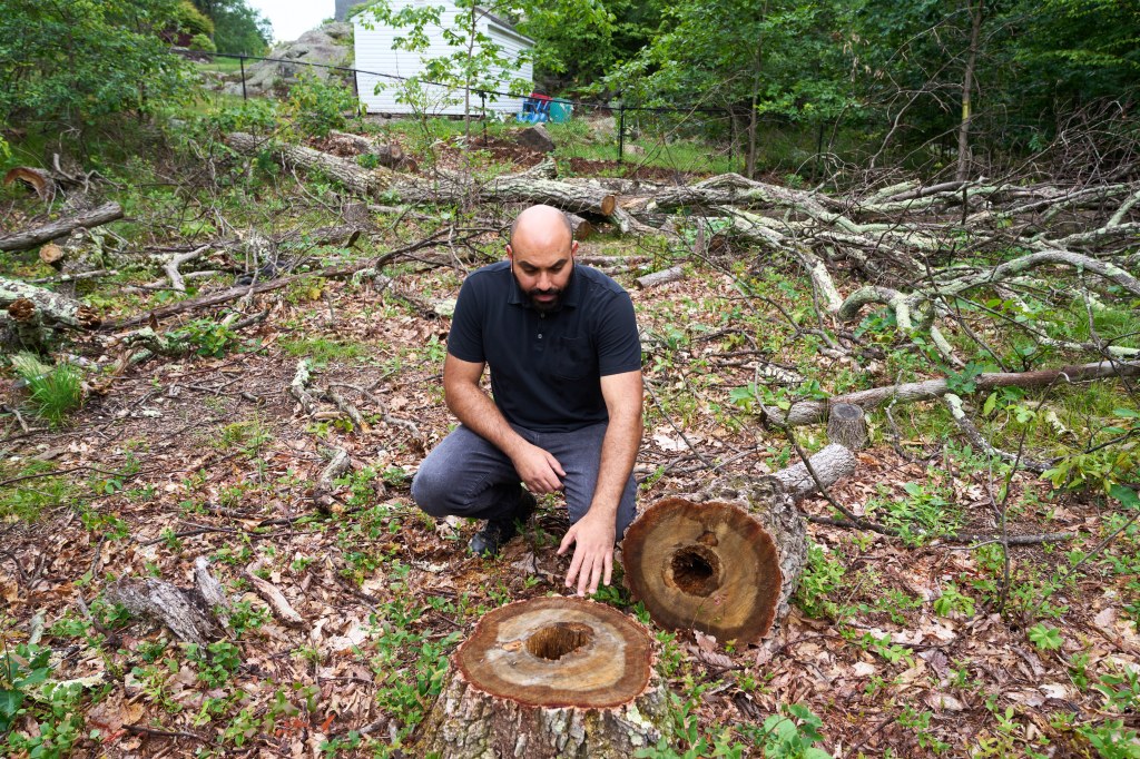 The contractors hired by Shinway's neighbor to do the chopping may also be fined an additional $400,000.