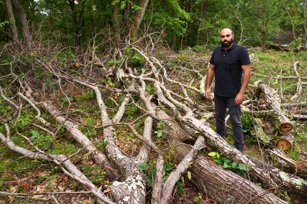 Shinway is a forest lover who helps out with New Jersey's Woodland Management Program.