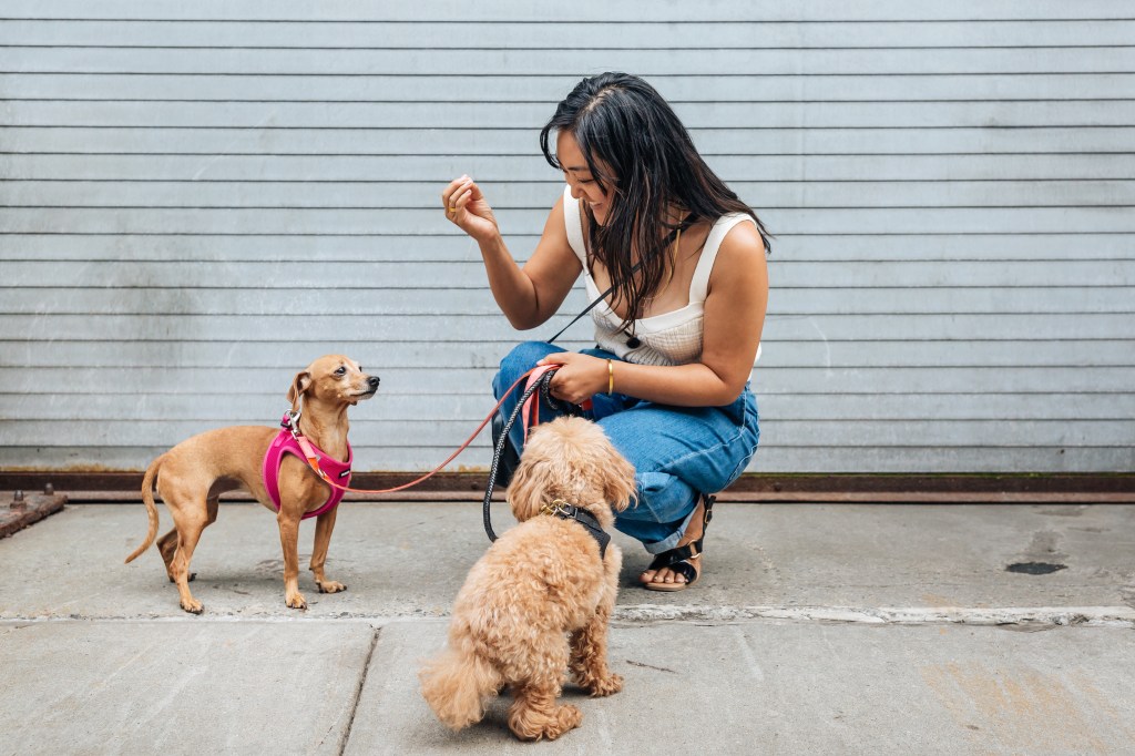 Cynthia Okimoto with Ruby and Marley