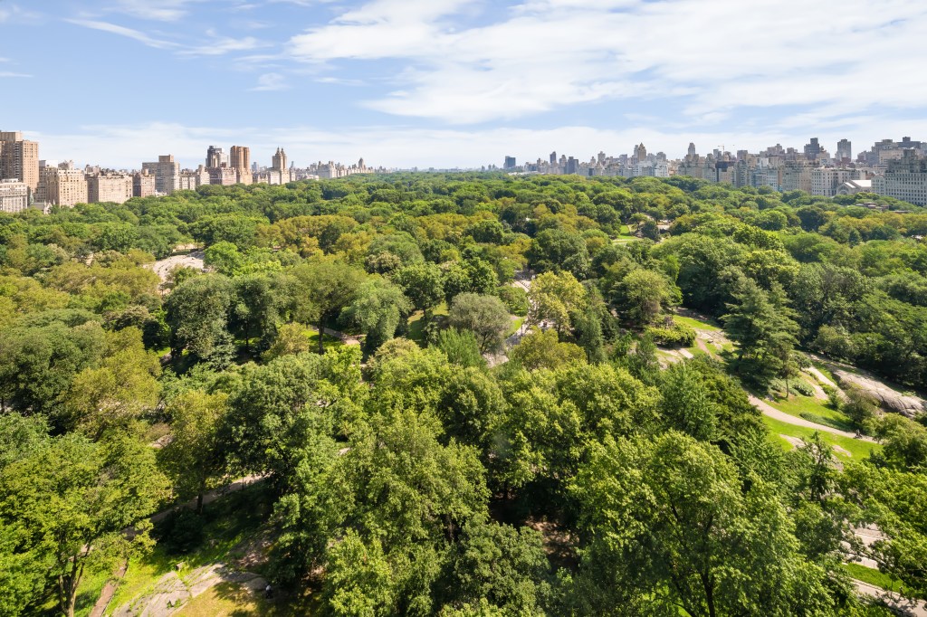 A view of Central Park from the apartment. 