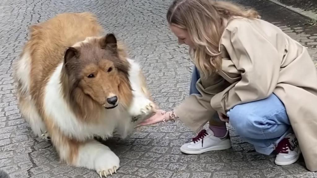 Toco performs tricks in exchange for treats.