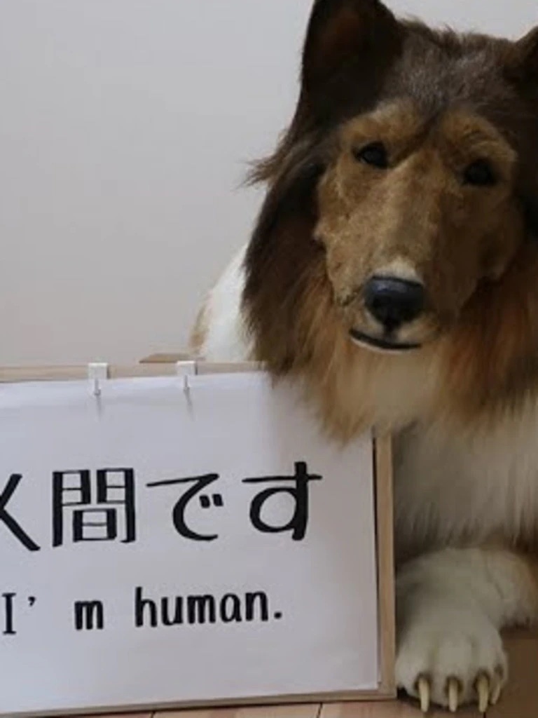 Toco sits with a sign that reads "I'm human."