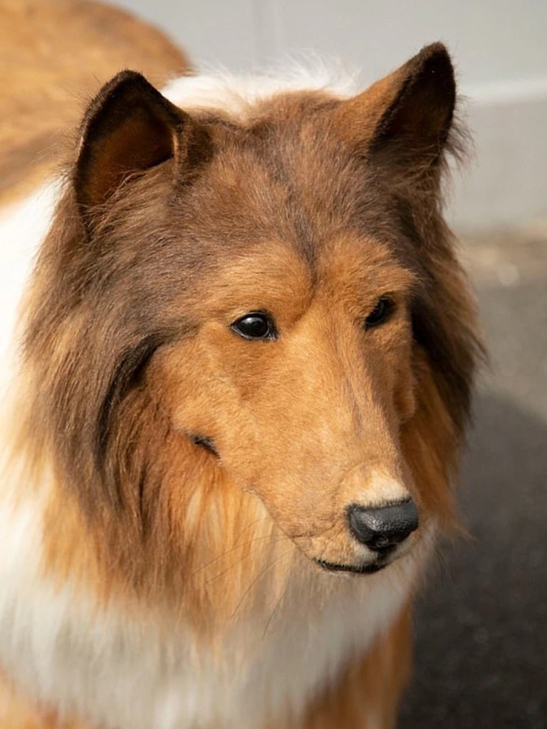 His hyperrealistic dog costume cost $20,000.