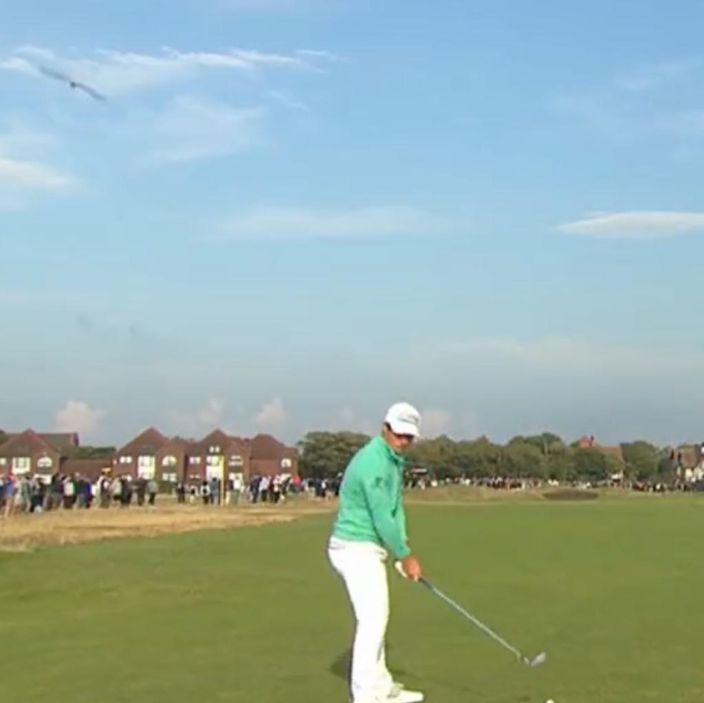 Bird poops on Viktor Hovland