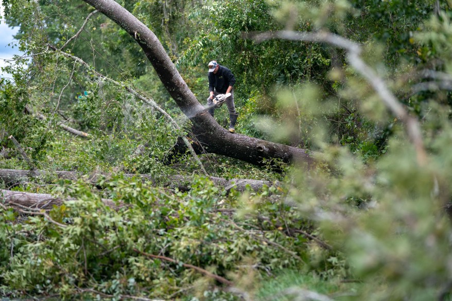 A man uses a chainsaw to clear fallen trees after Hurricane Idalia on I-10.